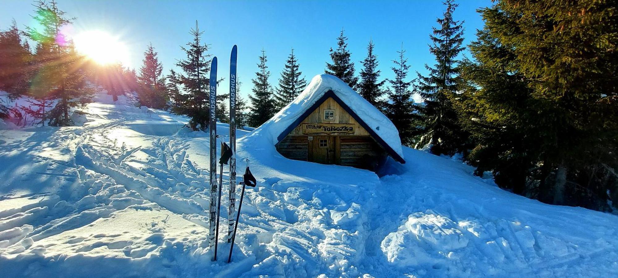 فيلا Tiny House Lavender Podturen المظهر الخارجي الصورة